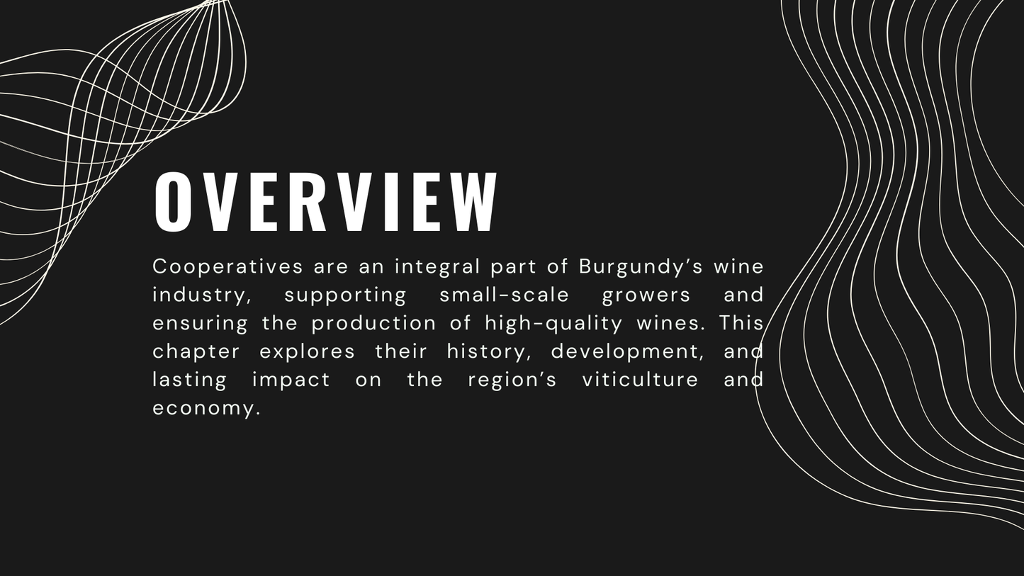 Knowledge Base - The Influence of Cooperatives in Burgundy's Wine Landscape