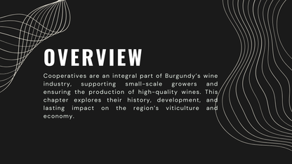 Knowledge Base - The Influence of Cooperatives in Burgundy's Wine Landscape