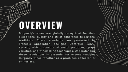 Knowledge Base - Understanding Burgundy's Wine Regulations: AOC System and Compliance