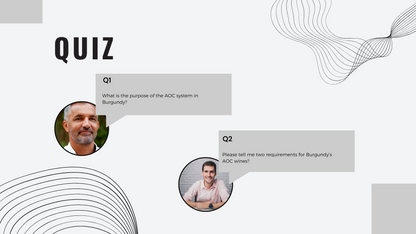 Knowledge Base - Understanding Burgundy's Wine Regulations: AOC System and Compliance