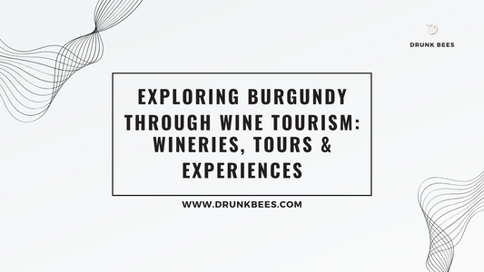 Knowledge Base - Exploring Burgundy Through Wine Tourism: Wineries, Tours & Experiences