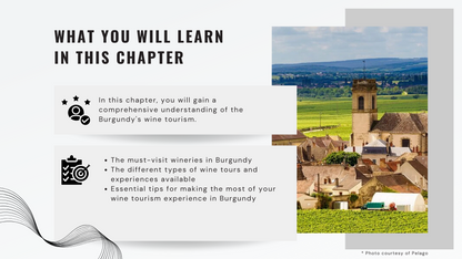 Knowledge Base - Exploring Burgundy Through Wine Tourism: Wineries, Tours & Experiences