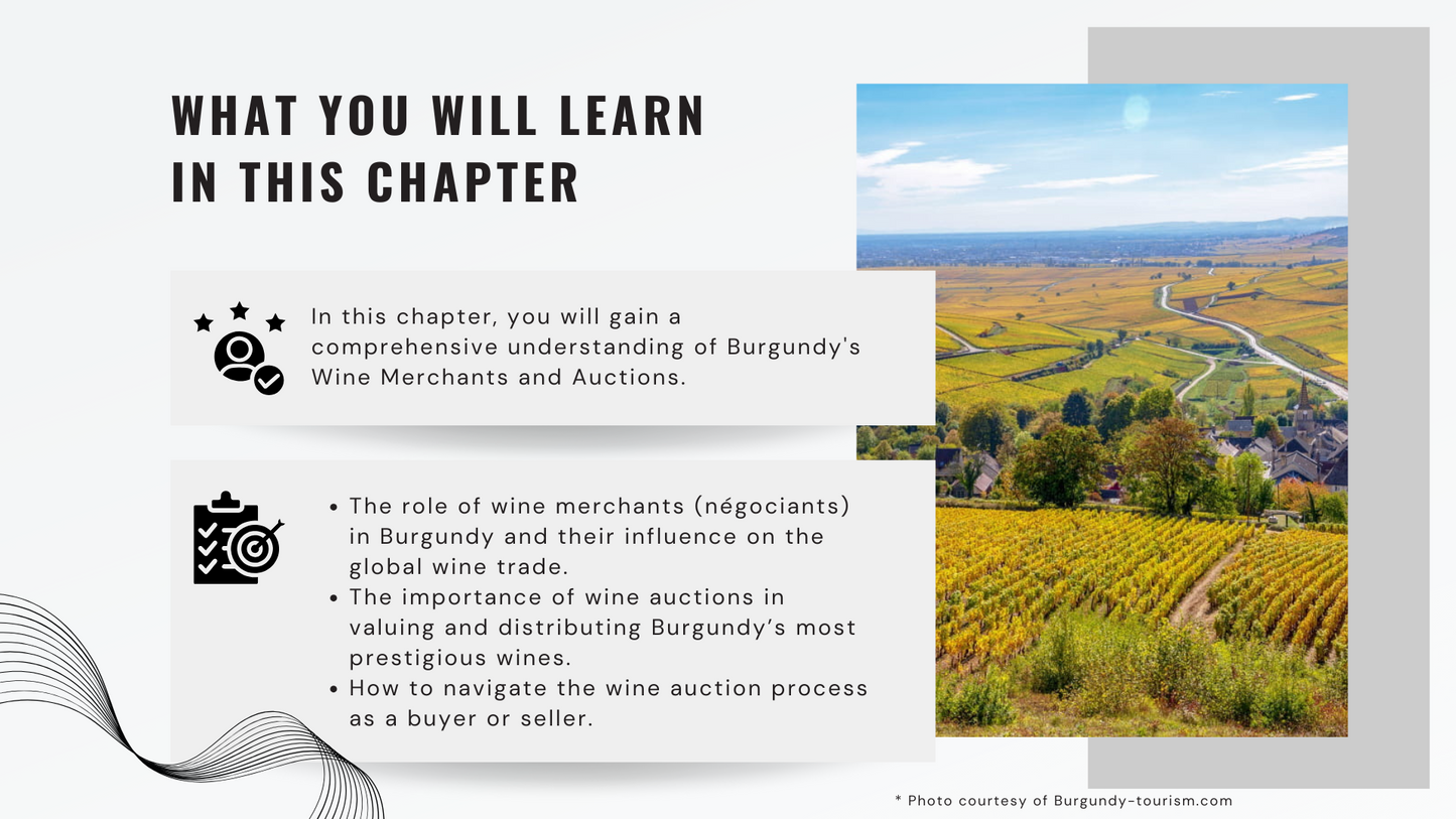 Knowledge Base - The Marketplace for Burgundy Wines: Merchants and Auctions