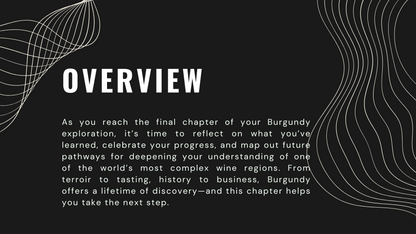 Knowledge Base - Burgundy Uncorked: A Final Chapter and Path Forward